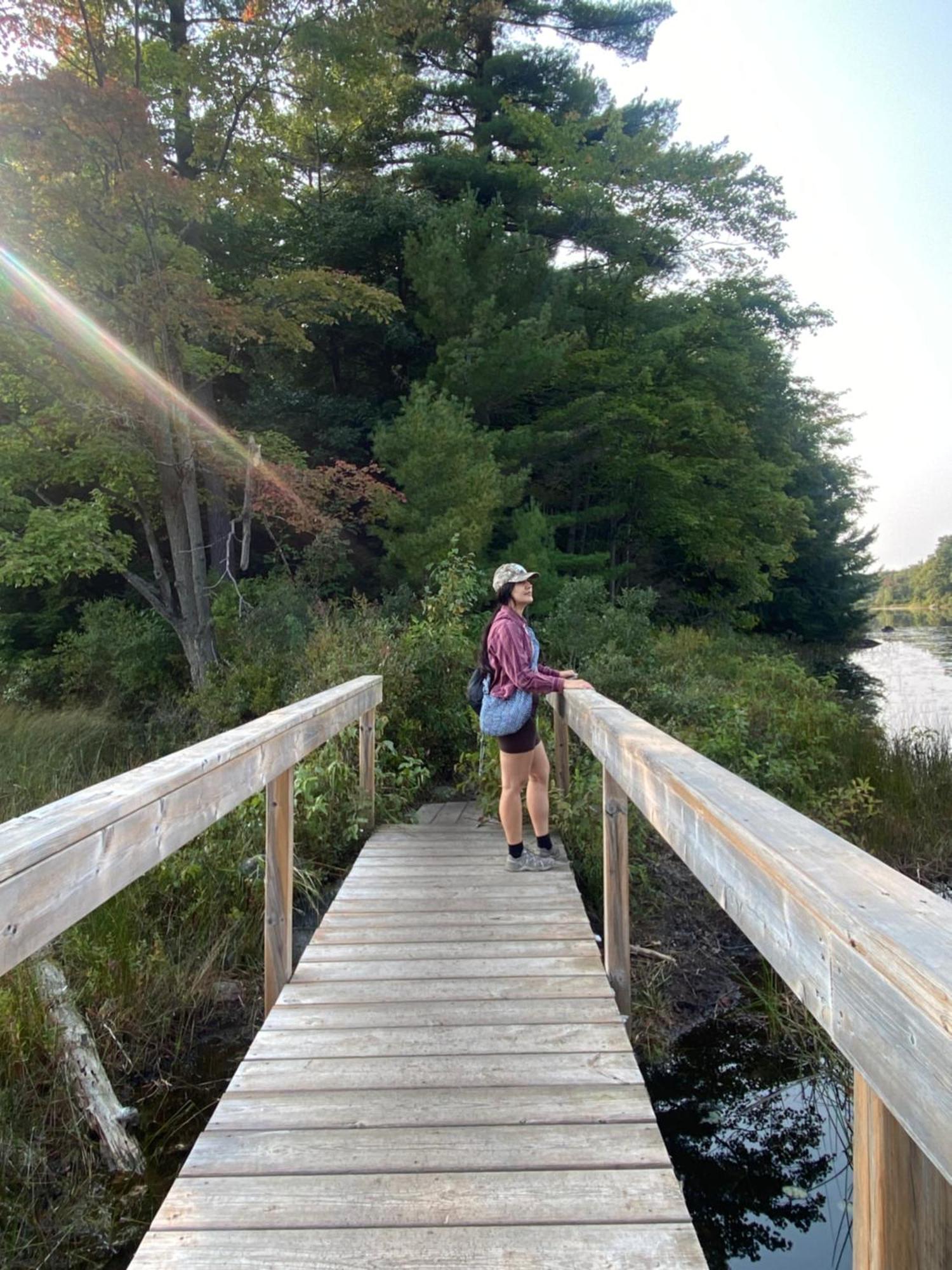 Blue Spruce Bed And Breakfast Muskoka 格雷文赫斯特 外观 照片