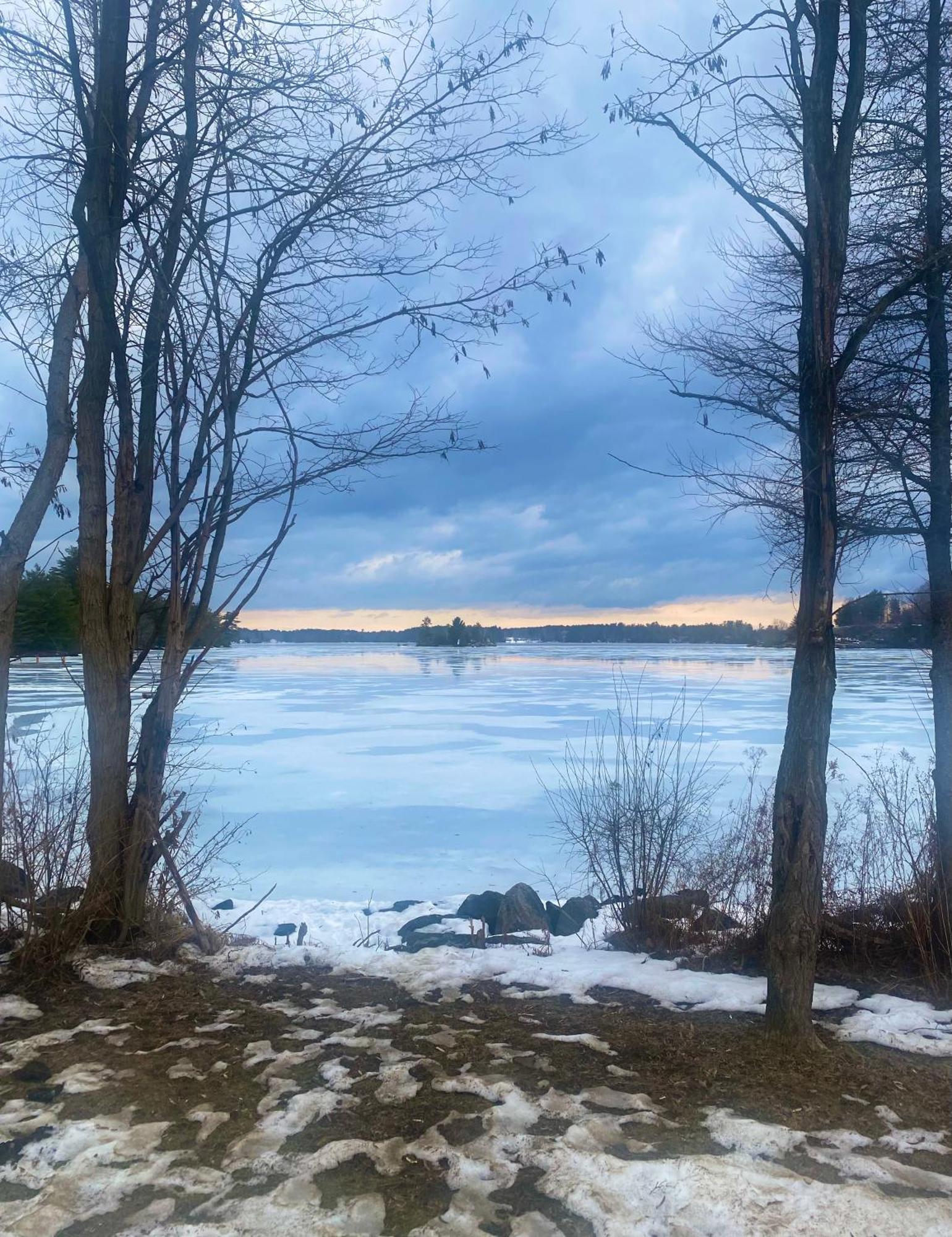 Blue Spruce Bed And Breakfast Muskoka 格雷文赫斯特 外观 照片