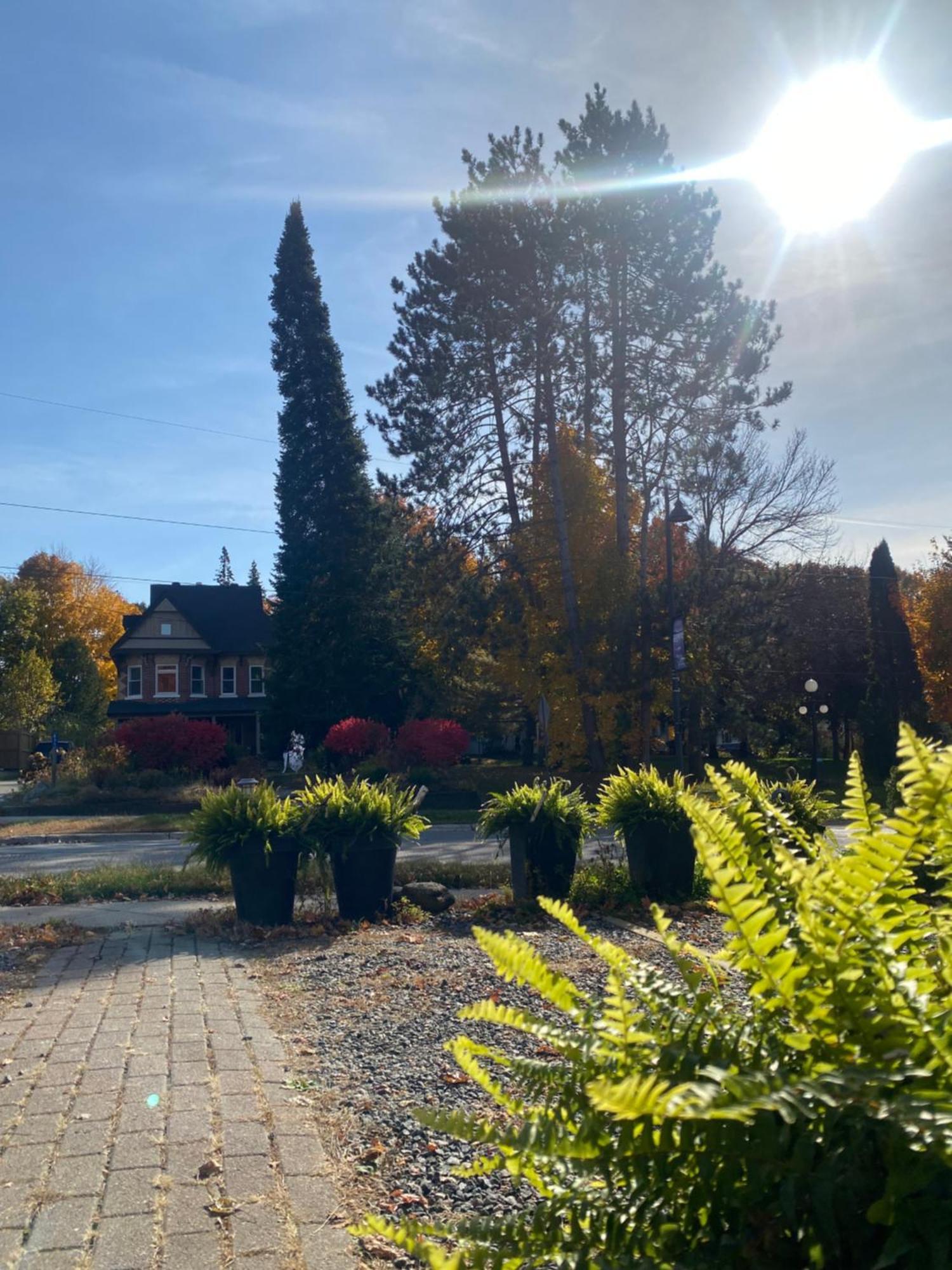 Blue Spruce Bed And Breakfast Muskoka 格雷文赫斯特 外观 照片
