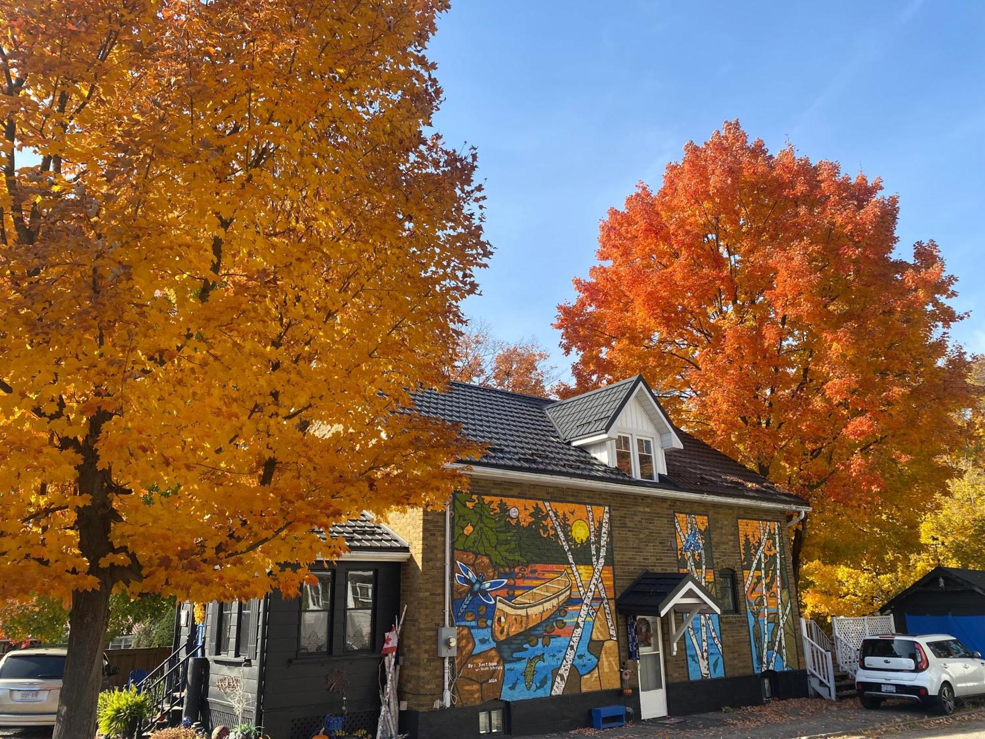Blue Spruce Bed And Breakfast Muskoka 格雷文赫斯特 外观 照片
